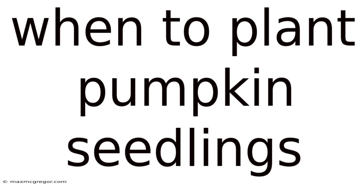 When To Plant Pumpkin Seedlings