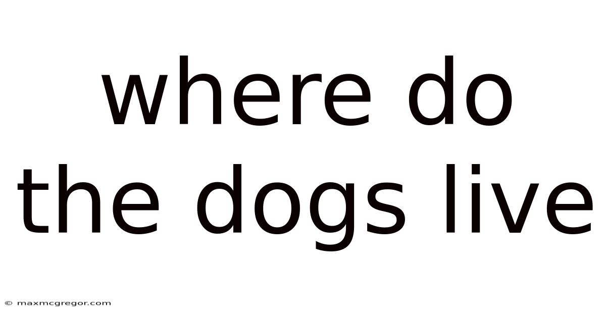 Where Do The Dogs Live