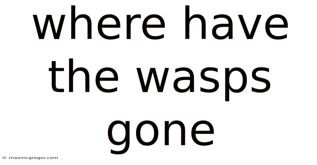 Where Have The Wasps Gone