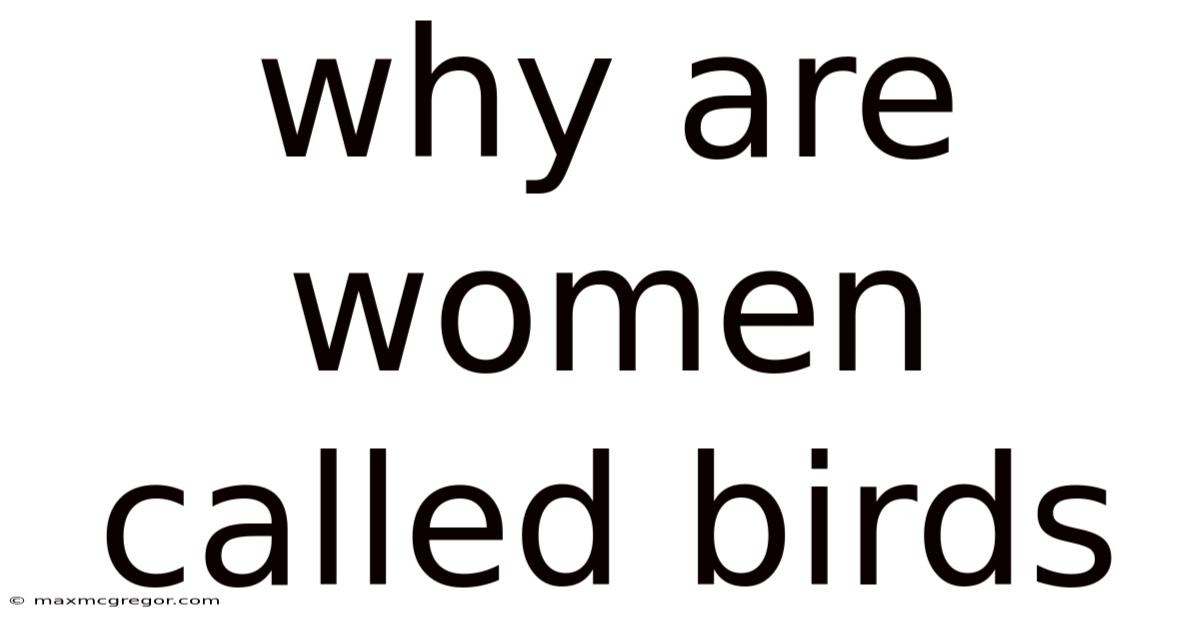 Why Are Women Called Birds