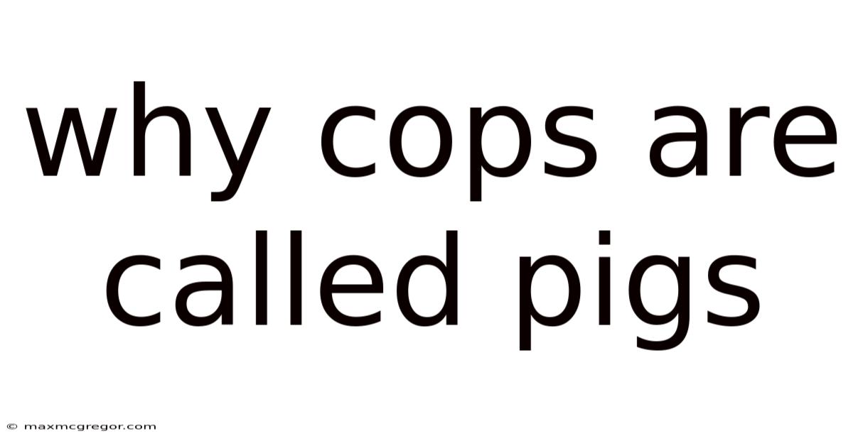 Why Cops Are Called Pigs