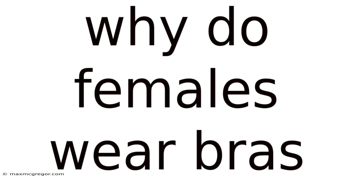 Why Do Females Wear Bras