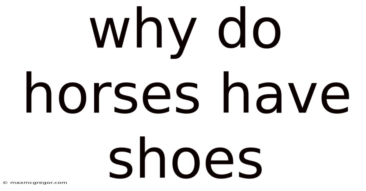 Why Do Horses Have Shoes