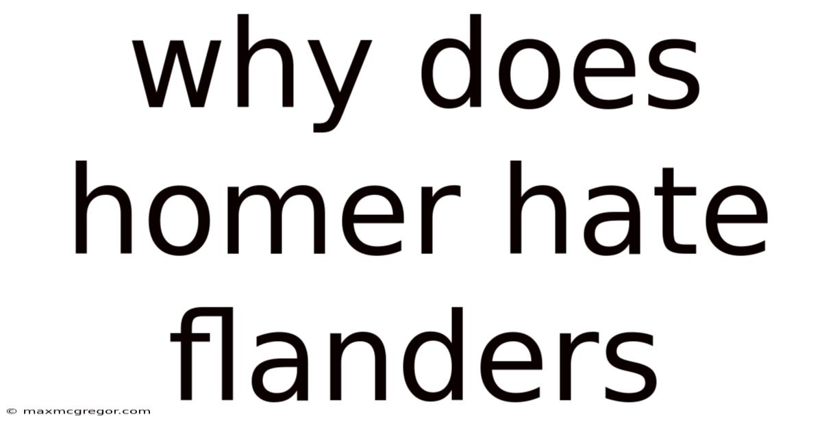 Why Does Homer Hate Flanders