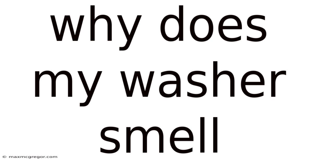 Why Does My Washer Smell