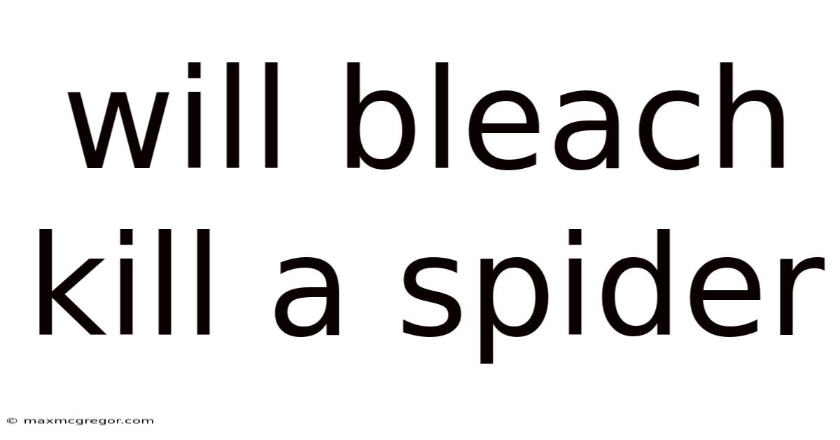 Will Bleach Kill A Spider