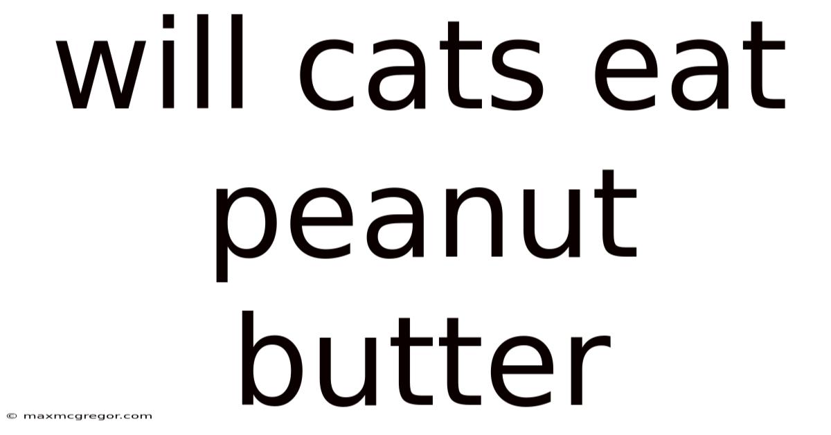 Will Cats Eat Peanut Butter