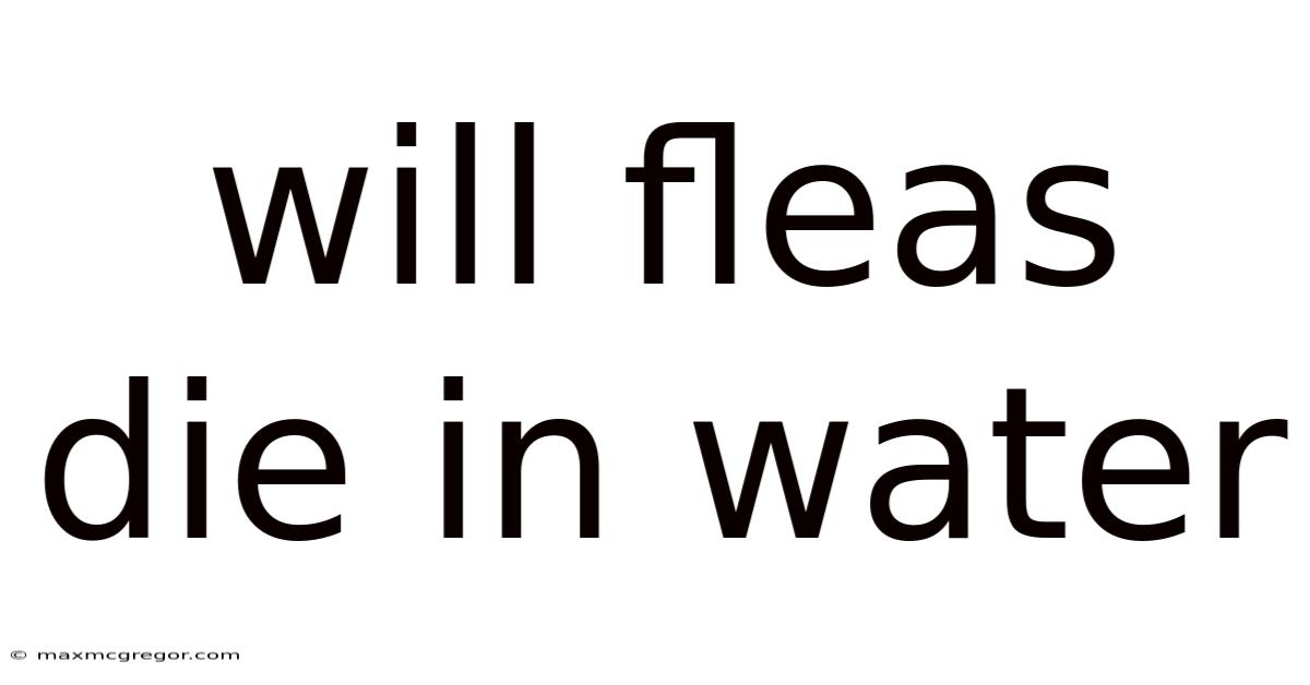 Will Fleas Die In Water
