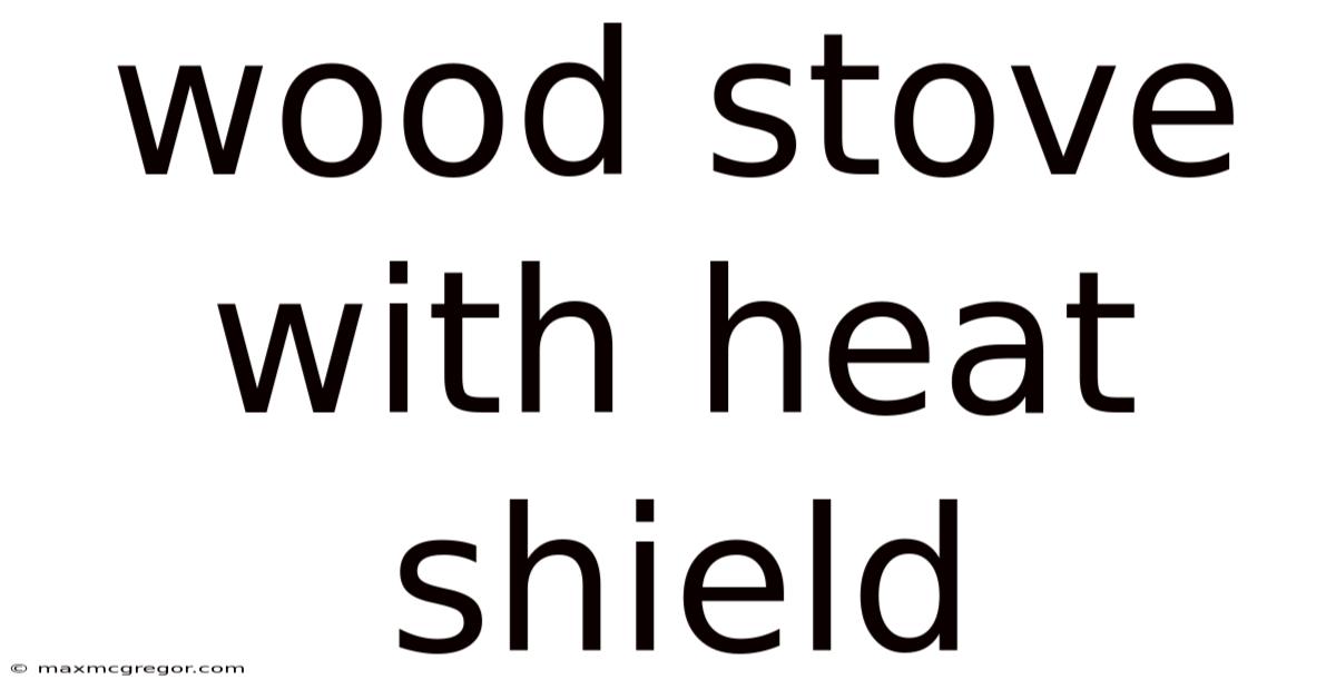 Wood Stove With Heat Shield