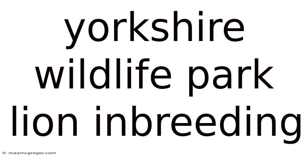Yorkshire Wildlife Park Lion Inbreeding